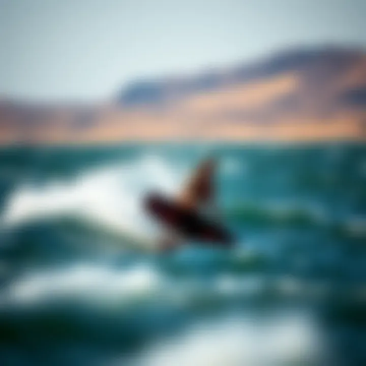 Dynamic Performance on Water A dynamic action shot of a rider on a carbon kiteboard gliding over water.