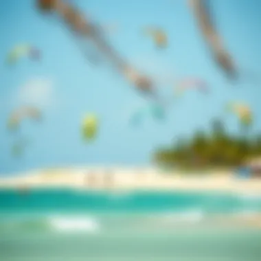 Beach Overview Showcasing Different Wind Conditions A serene beach scene with varying wind conditions, highlighting the factors affecting kite choice.