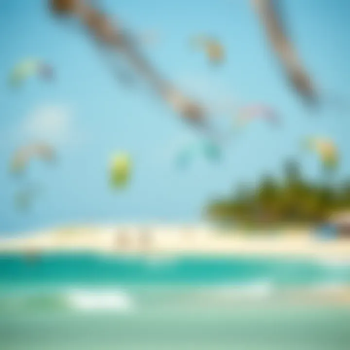 Beach Overview Showcasing Different Wind Conditions A serene beach scene with varying wind conditions, highlighting the factors affecting kite choice.