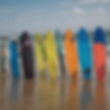 Various styles of twintip kiteboards laid out for comparison