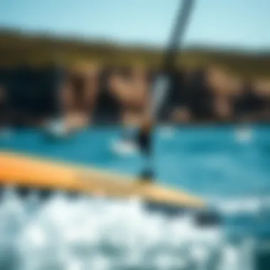 Materials Used in the Naish Wingsurfer Close-up view showcasing the materials used in the Naish Wingsurfer