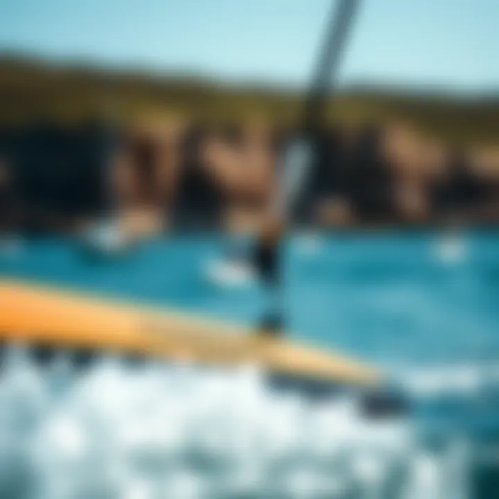 Materials Used in the Naish Wingsurfer Close-up view showcasing the materials used in the Naish Wingsurfer