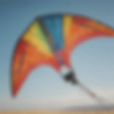 Detailed view of various kite types