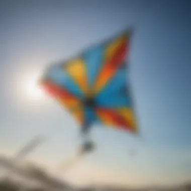 Close-up of a high-performance kite showcasing its design features