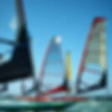 Visual representation of different kiteboard sail shapes and designs