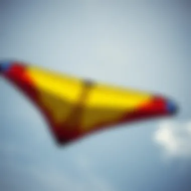 Vibrant Custom Kite in Flight A vibrant custom kite soaring in the sky