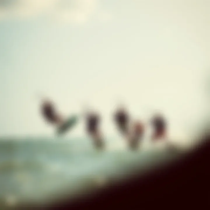 Elite Kitesurfers Competing Group of elite athletes at a kitesurfing competition