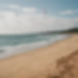 Colorful kites flying in the sky over a beach