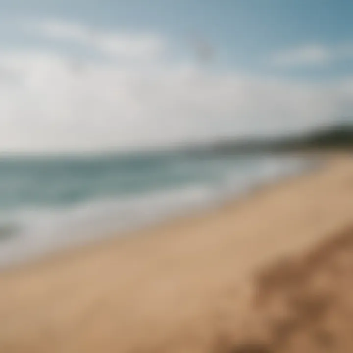 Colorful kites flying in the sky over a beach