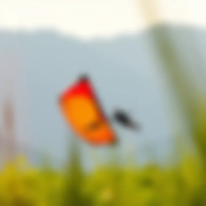 Kite Performance in Ideal Wind Conditions Kite in action under ideal wind conditions, illustrating optimal performance