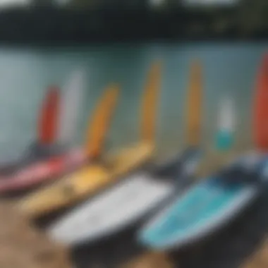 Different hydrofoil board designs lined up for comparison