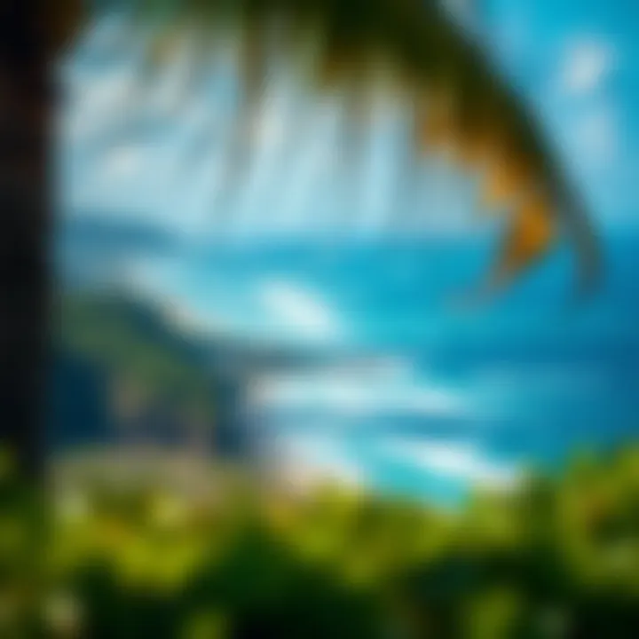 Panoramic view of Cabarete's coastline and ocean