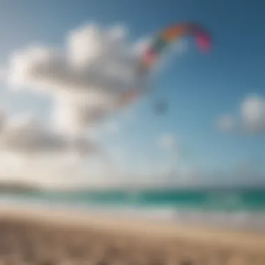 Colorful kites filling the sky above a picturesque beach