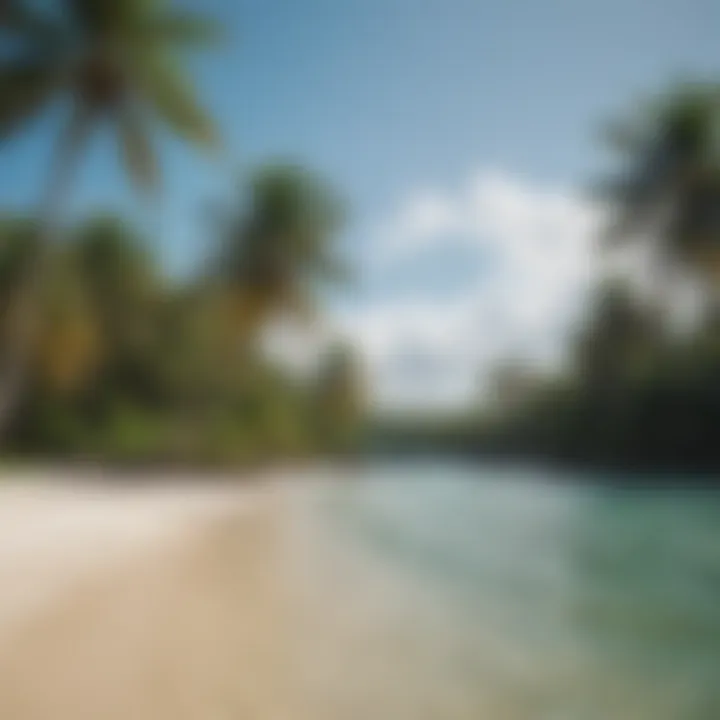 The lush palm trees and crystal-clear waters of Coconut Bay Beach.