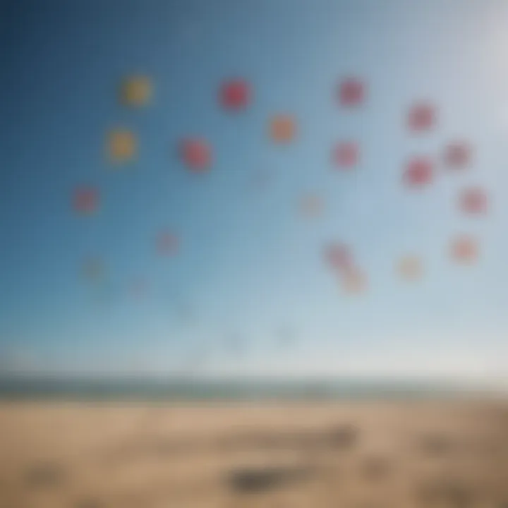 An array of slingshot kites laid out for comparison