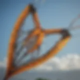 A close-up view of a slingshot kite showcasing its intricate design