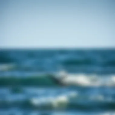 Graceful Efoil Riding the Waves Efoil gliding over ocean waves