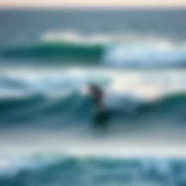 Experience the Thrill of Foil Boarding Surfer riding a foil board on ocean waves