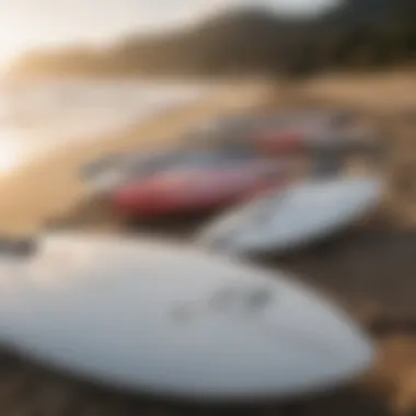 A selection of foil surfboards displayed on a picturesque beach setting