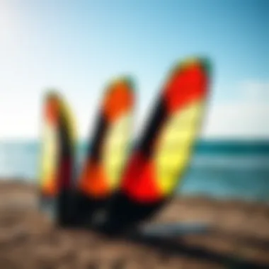 A range of fusion wings for different skill levels displayed