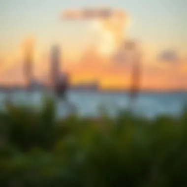 Scenic view of kiteboarding spot in Houston