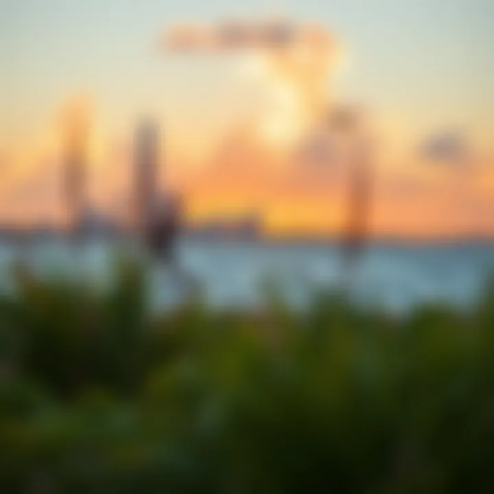 Scenic view of kiteboarding spot in Houston