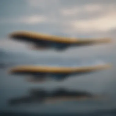 Comparison of various types of hydrofoil wings for different riding styles