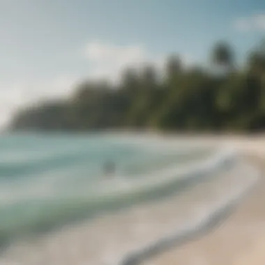 Thriving Kitesurfing Community in Tulum A vibrant kitesurfing community enjoying the beach