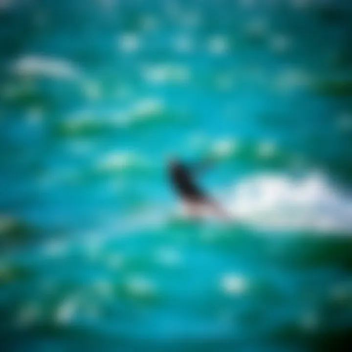 Kiteboarding in Dynamic Tides Vibrant kiteboarding action against the backdrop of dynamic tidal waters