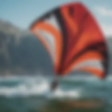 Detailed Look at Liquid Force Kite Material Close-up view of Liquid Force kite material and design details