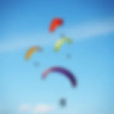 Colorful professional kites soaring in the sky during a kiteboarding event