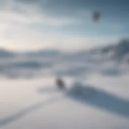 A breathtaking view of snow kiting on a frozen Norwegian landscape