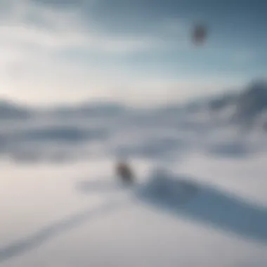 A breathtaking view of snow kiting on a frozen Norwegian landscape