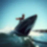 Dynamic view of the Switch Blade Cabrinha in action on the water