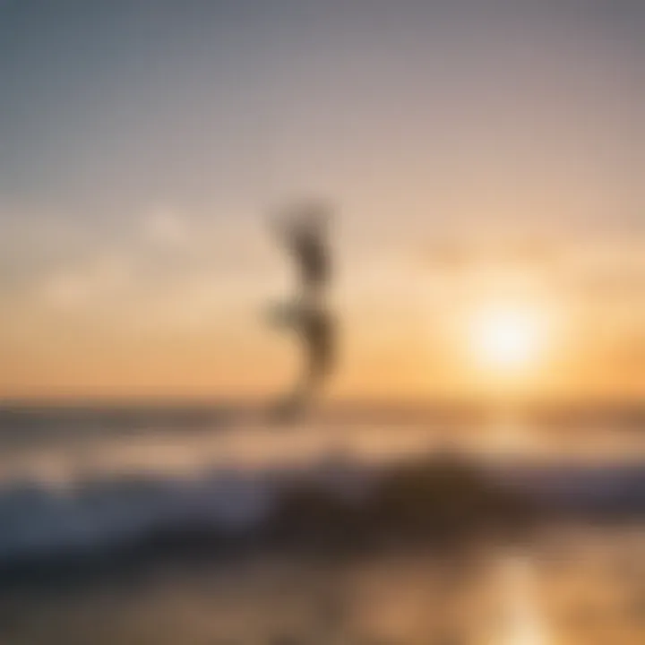 A group of kiteboarders enjoying hydrofoil surfing at sunset