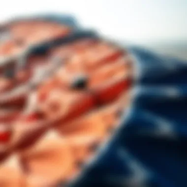 A close-up view of a high-performance kite showcasing intricate design details.