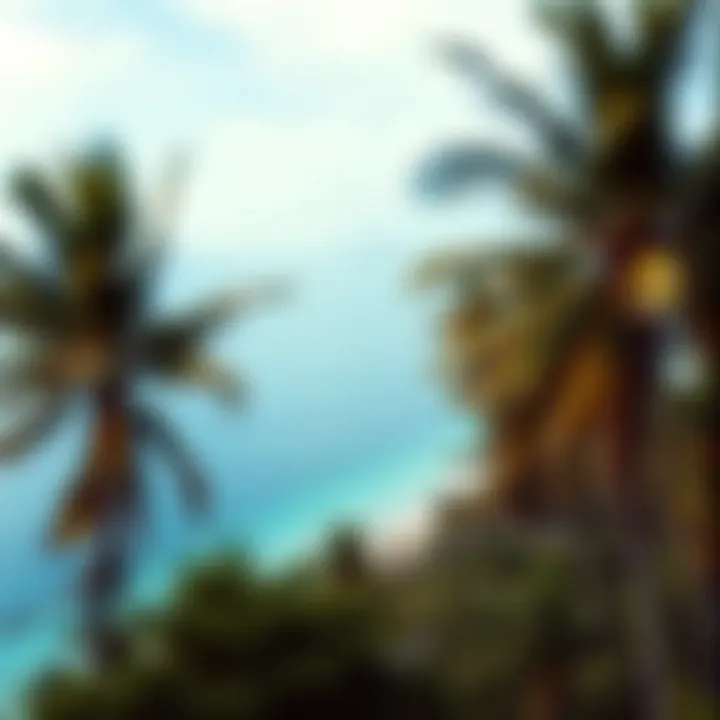 Breathtaking view of St. Lucia coastline with coconut palms