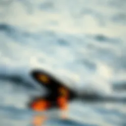 An innovative hover surfboard gliding above water