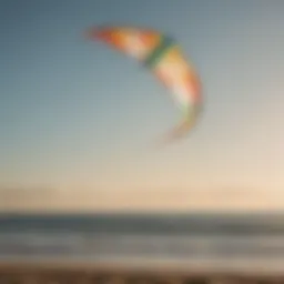 A light wind kite soaring gracefully above a tranquil beach