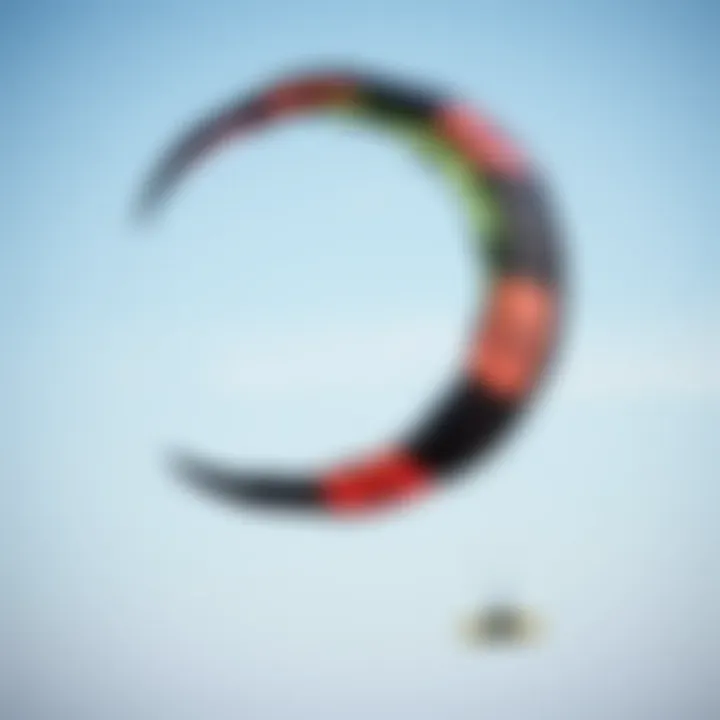 Intricate Design of a Three-Line Trainer Kite A detailed view of a three-line trainer kite showcasing its intricate design