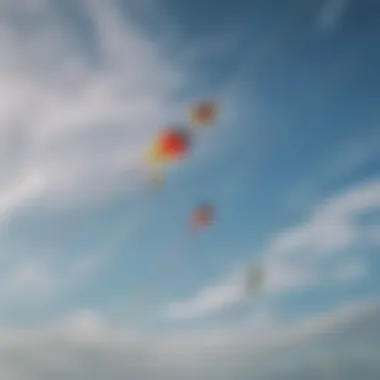 Vibrant kites soaring in the east wind