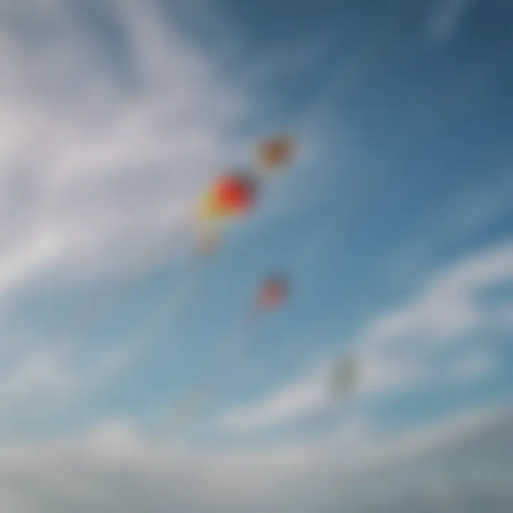 Vibrant kites soaring in the east wind