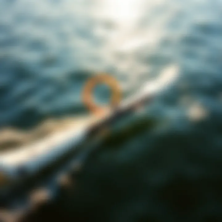 The Elegance of Efoils in Motion A sleek efoil gliding over the water