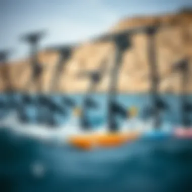 Diverse Efoil Models: A Showcase of Innovation An array of different efoil models displayed together