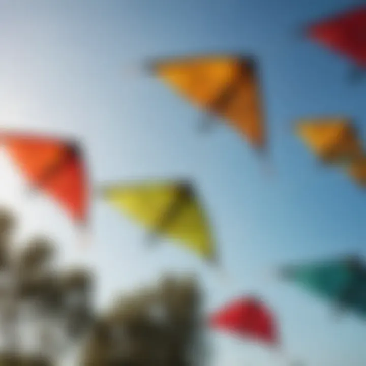 Different types of kites displayed for comparison