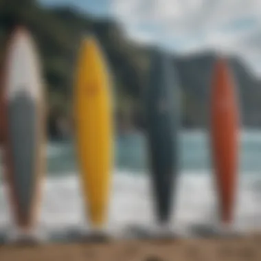 Comparison of various hydrofoil surfboard models