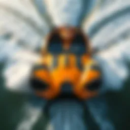 An aerial view of the Slingshot GT in action on the water