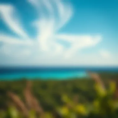 Ideal Wind Patterns for Kiteboarding Wind patterns above a picturesque Caribbean landscape, emphasizing the ideal conditions for kiteboarding.