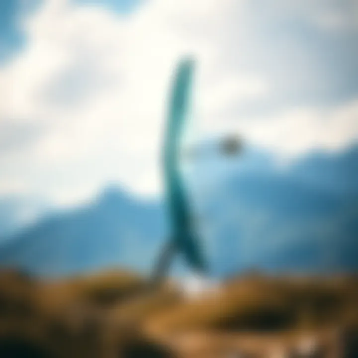 A checklist for assessing the condition of a used efoil