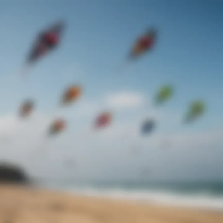 A collection of various kites from top brands displayed on the beach